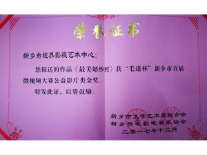 榮譽(yù)證書：《最美婚紗照》獲金獎